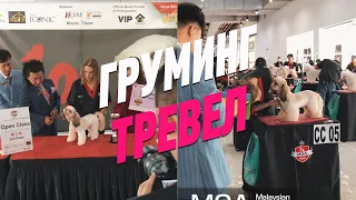 ГРУМИНГ ТРЕВЕЛ / МАЛАЙЗИЯ / Азиатский груминг / ОБУЧЕНИЕ ГРУМИНГУ / GROOM SCHOOL