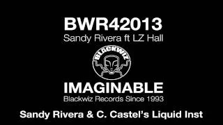 Sandy Rivera ft LZ Hall - IMAGINABLE - Sandy Rivera & C. Castel's Liquid Instrumental