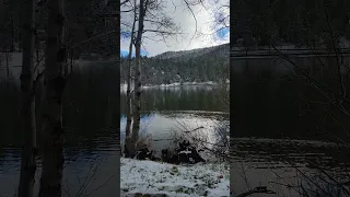 A walk around Lake Gregory After our First Snow Fall