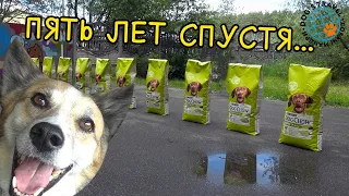 Пять лет спустя...