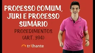 Processo Comum, Júri e Processo Sumário - Procedimentos (Art. 394)