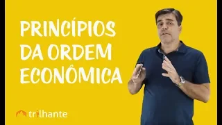 Intervenção do Estado no Domínio Econômico - Princípios da Ordem Econômica