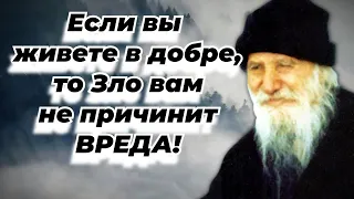 Если вы живете в добре, то зло вам не причинит вреда! Порфирий Кавсокаливит