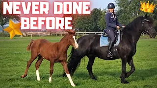 We've never done this before! Queen👑Uniek and Rising Star⭐ love it! Weaning Part 2 | Friesian Horses