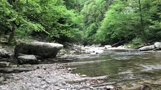 2.05.2019 Погода в Сочи в мае. Смотри на Чёрное море каждый день.