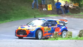 WRC Rallye Deutschland 2017 [HD] | MISTAKES, DRIFTS, ACTION & PURE SOUND