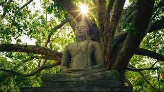 Buddha's Flute Music | Heart's Awaking