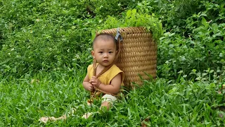 Single Mother harvests vegetables with her baby to sell at the market | Duyên Single Mom