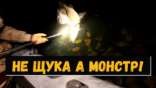 Не ЩУКА а МОНСТР! Закрытие сезона ночной охоты на щуку!