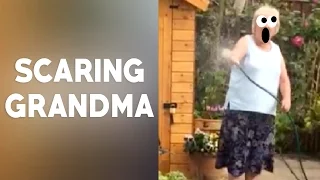 SCARED GRANDMA COMPILATION