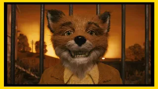 "Fantastic Mr. Fox" | A Brief Look at Color, Camera, and Symmetry