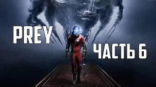 Prey ◘ Часть 6: Аарон Ингрэм