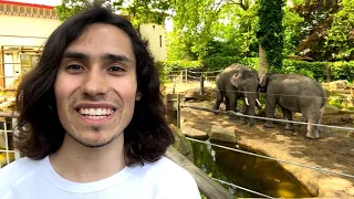 ME AT THE ZOO 20 YEARS LATER! - Recreating The First Youtube Video!