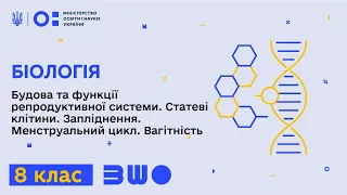 8 клас. Біологія. Будова та функції репродуктивної системи. Статеві клітини. Запліднення. Ч. 1