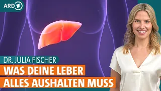 Fettleber heilen: Was sind Symptome und wie kann Ernährung helfen? | Dr. Julia Fischer | ARD Gesund