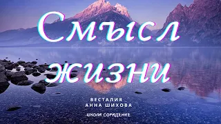 Как перестать играть в чужие игры и встать на свой путь #Весталия #ШколаСорадение