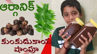 ఆర్గానిక్ కుంకుడుకాయ షాంపూ||Organic Kunkudukaya shampoo||Hair Shampoo||Shampoo