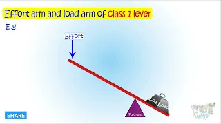 Lever | Effort Arm and Load Arm of a Lever