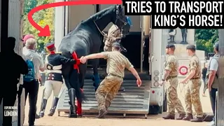 SOLDIERS TRY TO TRANSPORT HUGE KING’S HORSE, HE REACTS LIKE THIS! | Horse Guards, Royal guard, Horse