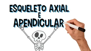 Esqueleto Axial e Apendicular| Diferenças | Divisão e Principais Funções| Animação
