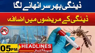 Dengue Patients Increase | 5pm News Headlines | 08 May 2024 | City 41