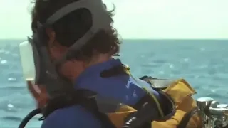 Tubarão 4 A Vingança (1987) O  Tubarão Aperece na Praia Dublado em (HD)