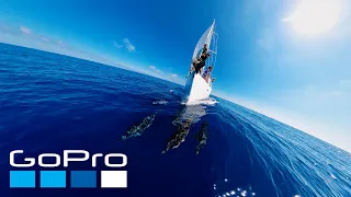 GoPro Awards: Sailing with Dolphins