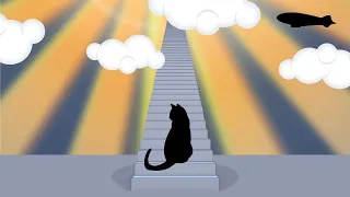 Stairway To Heaven Parody Song - What A CAT Would Sing Instead