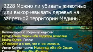 2228 Можно ли убивать животных или выкорчевывать деревья на запретной территории Медины