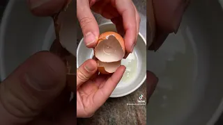 Cómo preparar un huevo crudo para tu perro 🥚 #dietabarf