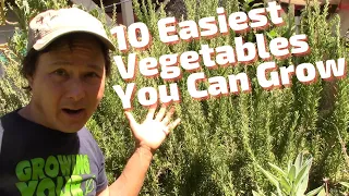 10 Easiest Vegetables You Can Grow in the Desert with Little Care