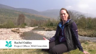 Wild Ennerdale in the Lake District