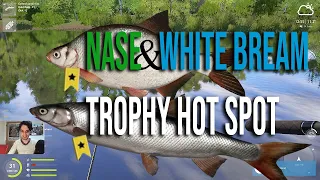 Nase and White Bream Trophy at Volkhov River - Hot Spot Russian Fishing 4