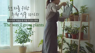 [SUB] 초보자를 위한 키우기 쉬운 추천 식물 10가지 I 내가 식물을 키우는 방법 I 실내 식물 키우는 법