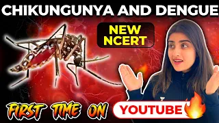 Chikungunya and Dengue | First time on YouTube 🔥 | New NCERT | NEET 2024 | Seep Pahuja