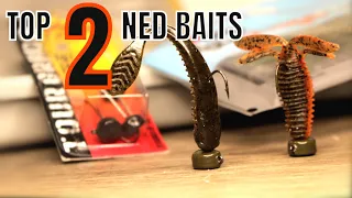 DON'T Go Fishing WITHOUT These 2 NED Baits In DECEMBER