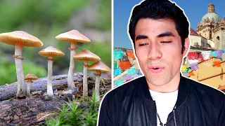 I Tried Magic Mushrooms in Mexico