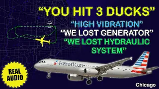 Multiple failures. American Airbus A321 hit 3 ducks on takeoff from Chicago. Real ATC