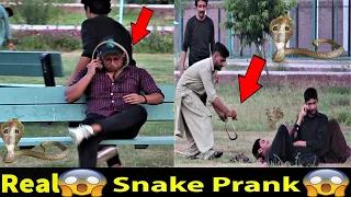 REAL SNAKE PRANK - EPIC SNAKE PRANK IN PAKISTAN - FUNNY REACTION OF Public B4 Bhakkar Pranks