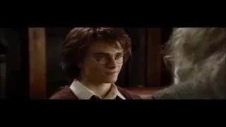 Drarry -  Я полюбила бандита