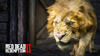 Em busca do TIGRE e do LEÃO - Red Dead Redemption 2 - Série: O Domador de Cavalos