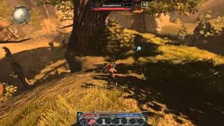 Divinity 2 Developer's Cut - Noch ein Goblinstamm - 016 Gameplay HD