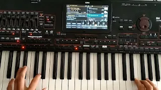 Modern Talking Style & Długa Noc... (Danekoo1 & Korg Pa4x )