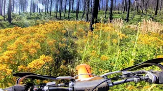 Middle Creek / Penny Pines OHV  Mendocino National Forest Trail Riding 2020