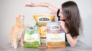 Acana Cat Food Review (We Tested It)