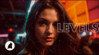 AVICII - Levels (Retrovision Flip)