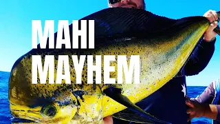 Mahi Mahi fishing how to catch dolphin fish off the FAD's Various techniques. Awesome Action