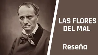 LAS FLORES DEL MAL - Breve explicación