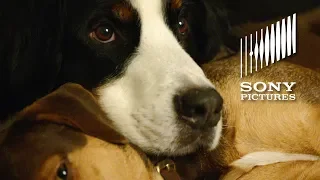 A DOG'S WAY HOME - Shelter Pets Day PSA