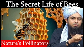 The Secret Life of Bees || Miracle Creature || by @EngineerMuhammadAliMirzaComp